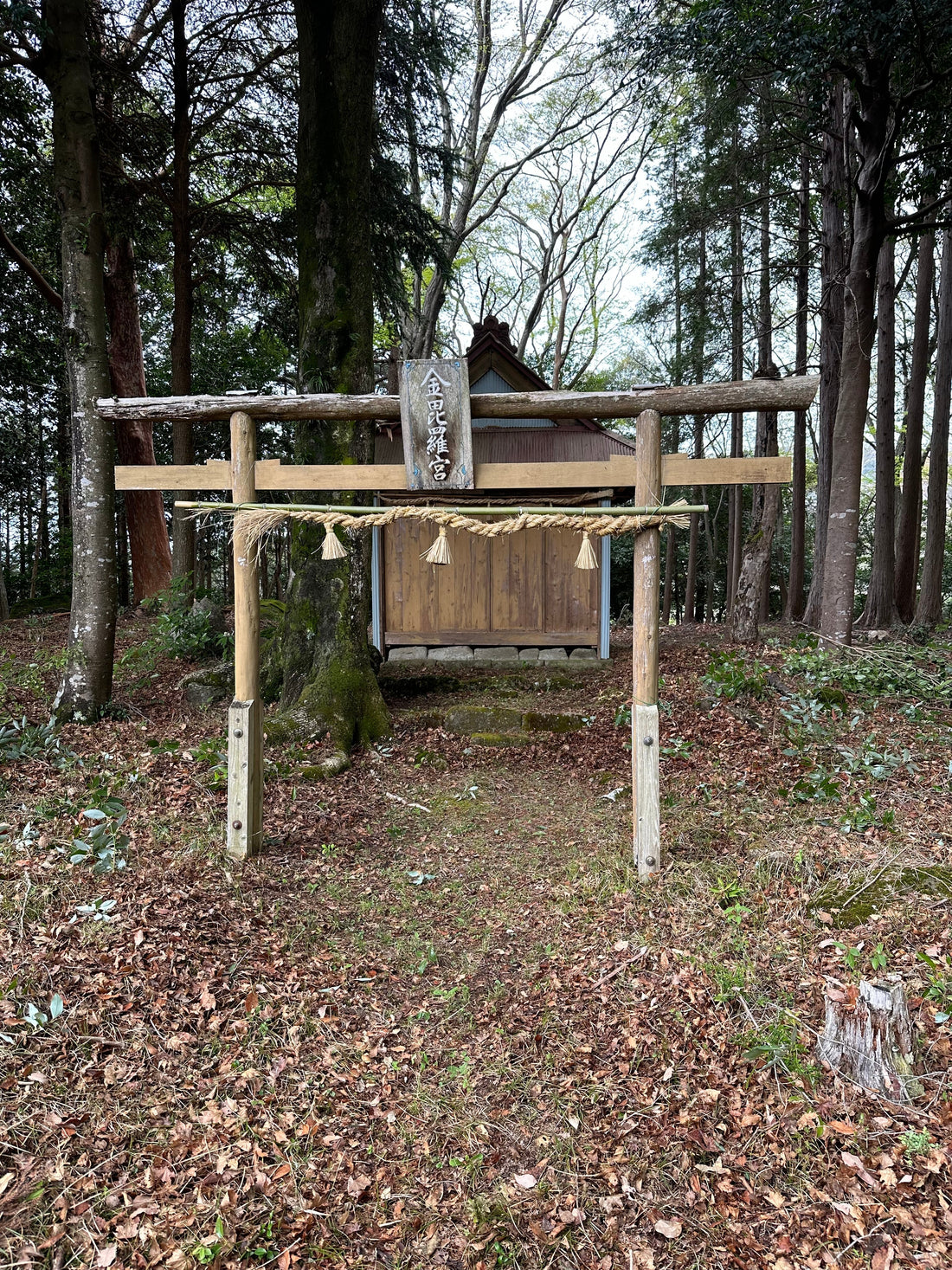 【呼ばれた山】静岡県伊豆市 ― 地図に載っていない神社