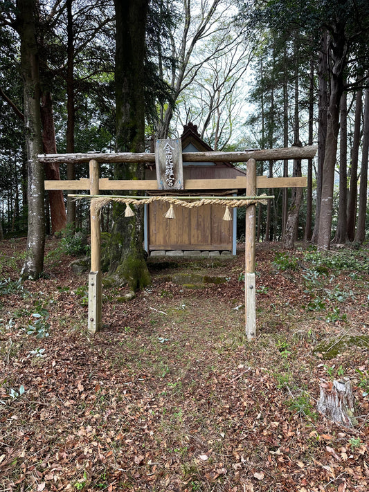 【呼ばれた山】静岡県伊豆市 ― 地図に載っていない神社