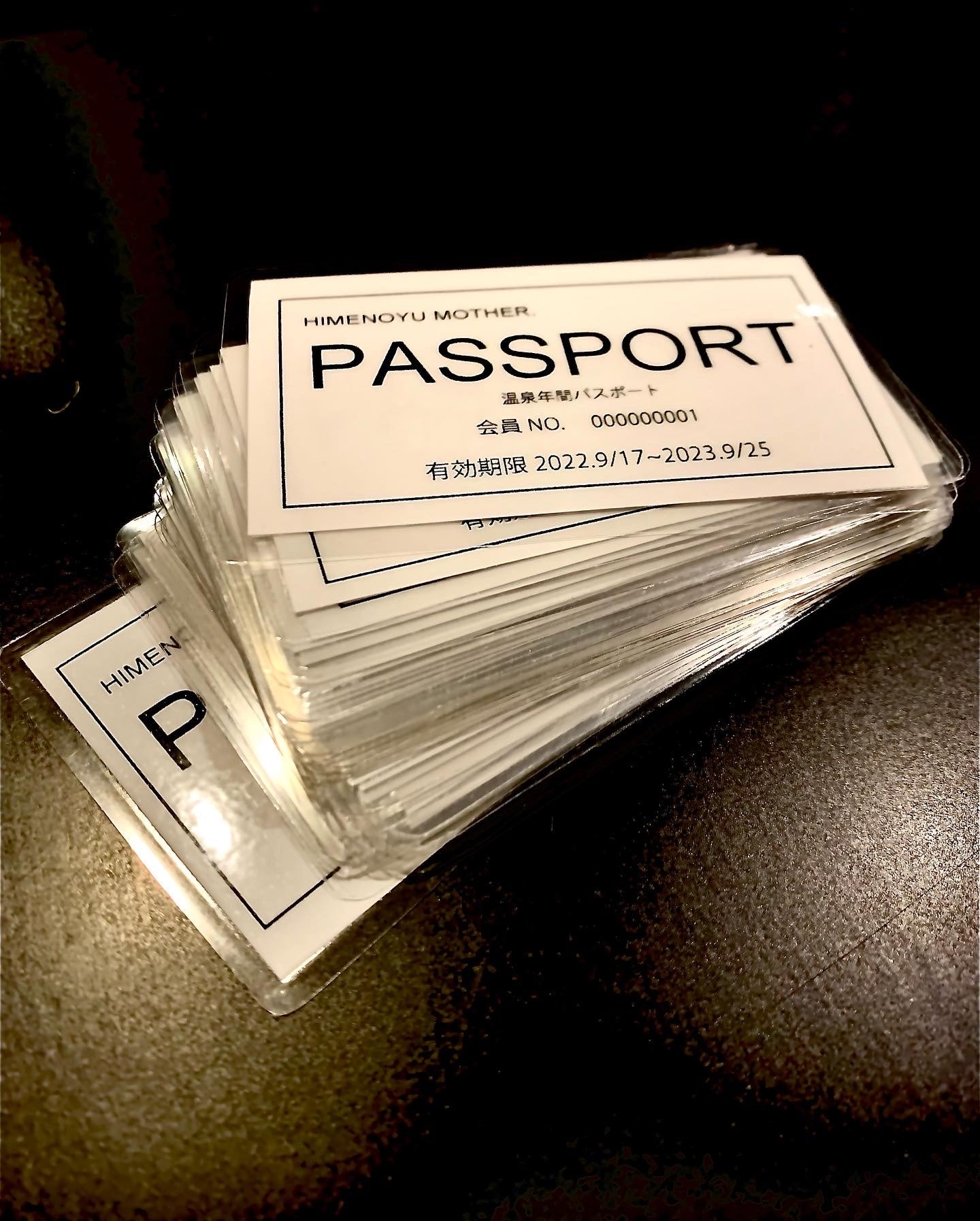 温泉ご利用年間パスポート。